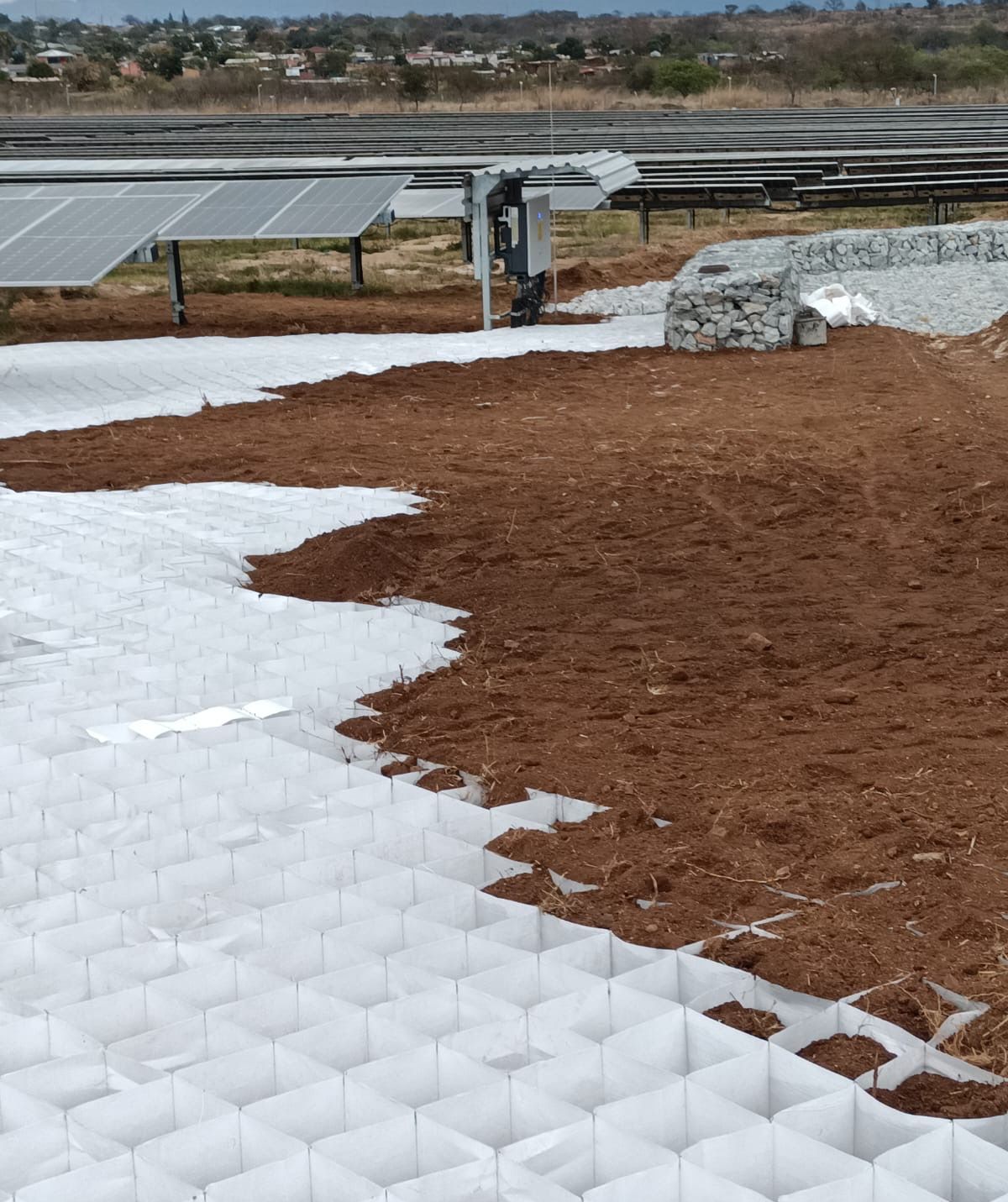 White Greencell / Multicell panels with a gabion basket between rows of solar panels at Balfour